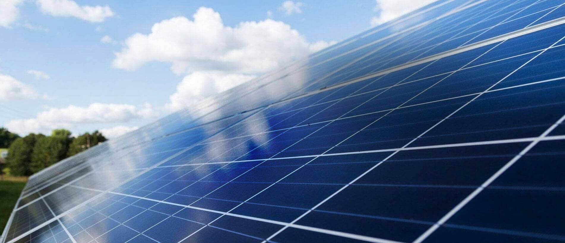 Go Green and Save BIG