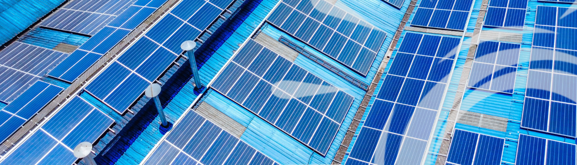 Solar Panel Cleaning Brushes